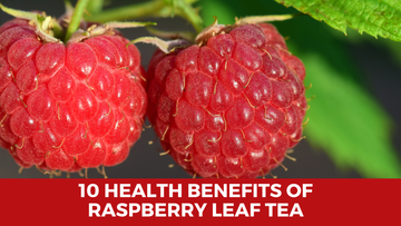 10 Health Benefits of Raspberry Leaf Tea - Herbal Hermit