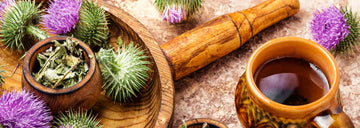 5 Simple Steps To Make Milk Thistle Tea - HerbalHermit USA
