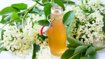 5 Ways to Use Elderberry Flower for Treating Cold - Herbal Hermit