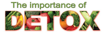 Detox Tea - The Best One Week Herbal Plan to Lose Weight - HerbalHermit USA