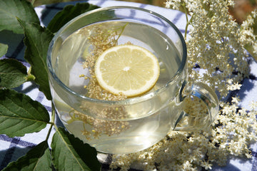Elderberry Tea: An Effective Natural Remedy to Treat Colds - HerbalHermit USA