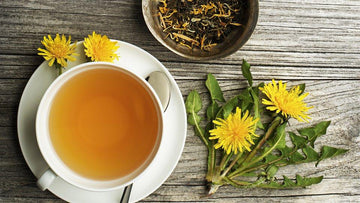 How Often Can I Drink Dandelion Root Tea? - HerbalHermit USA