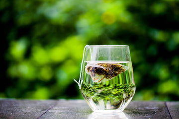 How to Make the Perfect, Healthy Tea: A Guide for Tea Lovers - HerbalHermit USA
