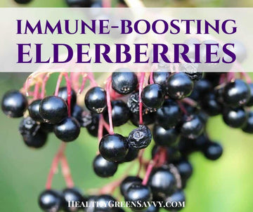 Immune System Support Facilitated by Sambucol Black Elderberry - HerbalHermit USA