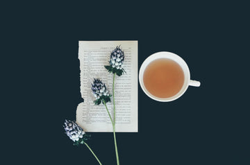 Keep Your Well-Being Fresh: 3 Ways Dandelion Root Tea Can Improve Your Health - HerbalHermit USA