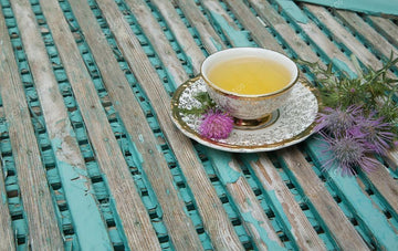 Milk Thistle Tea - Are There Known Side Effects? - HerbalHermit USA
