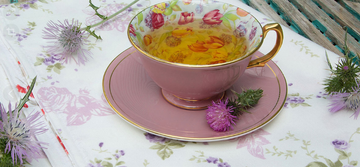 Milk Thistle Tea – Can You Drink It While Breastfeeding? - HerbalHermit USA
