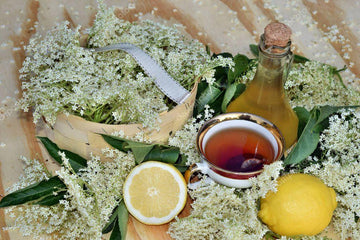 Powerful Benefits of Elderflower Tea - HerbalHermit USA