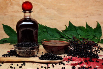 Pure Elderberry Juice: How to Prepare and its Uses - HerbalHermit USA
