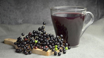 Sambucol Black elderberry in aiding relief from cold and flu - Herbal Hermit