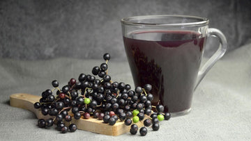 Sambucol Black elderberry in aiding relief from cold and flu - HerbalHermit USA