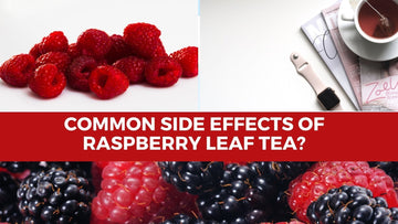 What Are Common Side Effects Of Raspberry Leaf Tea? - HerbalHermit USA