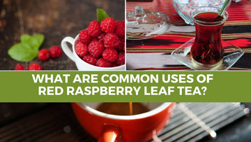 What are common uses of red raspberry leaf tea? - HerbalHermit USA