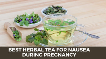 What is the best herbal tea for nausea during pregnancy? - HerbalHermit USA