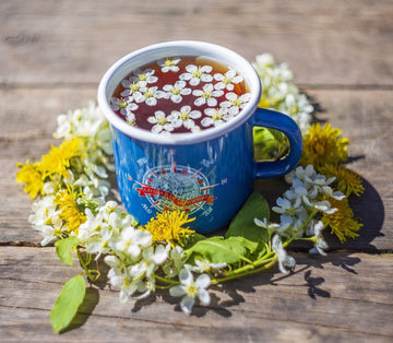 Why Detoxing Your Liver is a Must - HerbalHermit USA