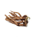 Dandelion_Root.png