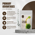 Kidney Cleanse Tea for UTI Support  Herbal Hermit