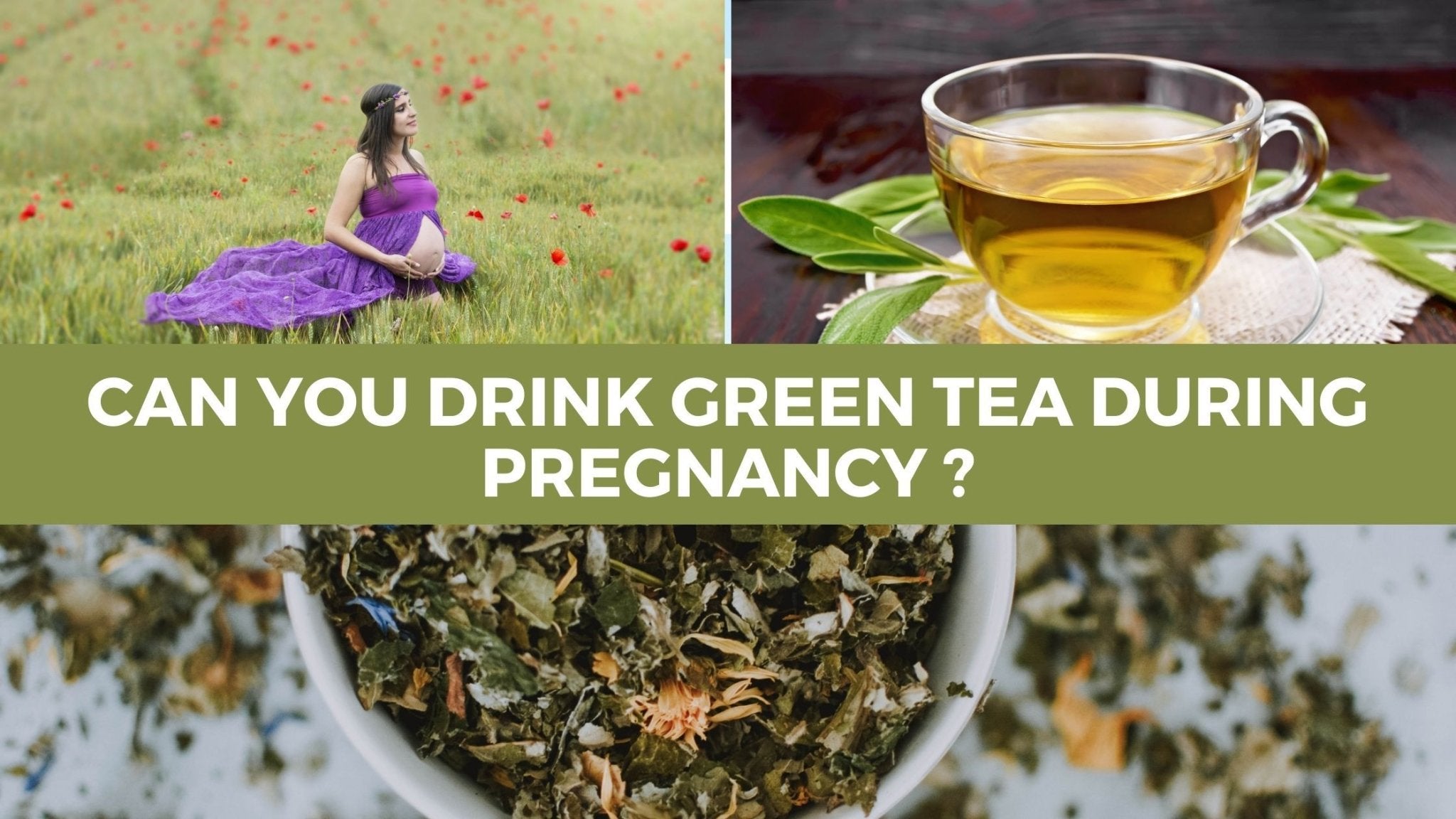 Can‌ ‌You‌ ‌Drink‌ ‌Green‌ ‌Tea‌ ‌During‌ ‌Pregnancy‌ ? - Herbal Hermit