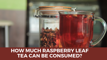 How much Raspberry Leaf Tea can be Consumed? - Herbal Hermit