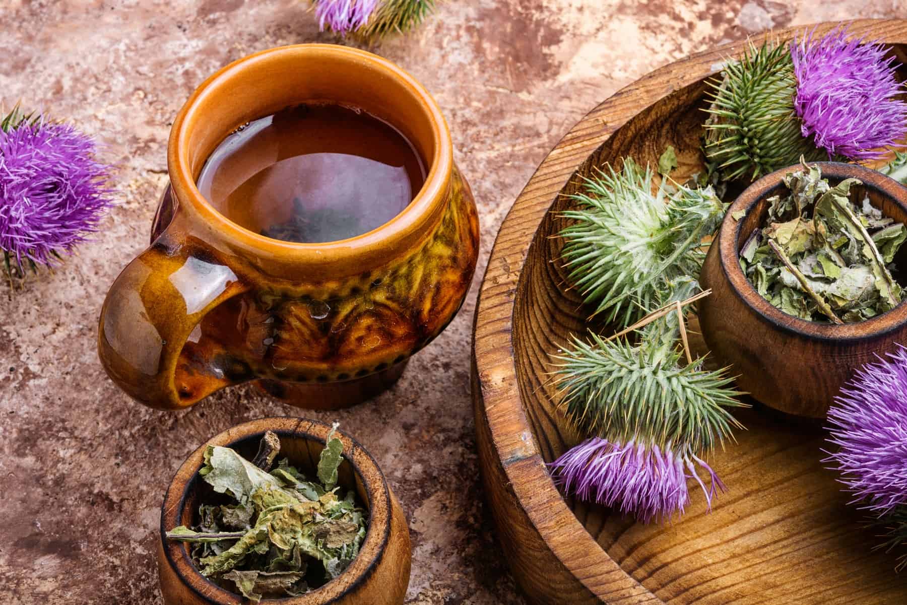 How To Make Milk Thistle Tea? - Herbal Hermit