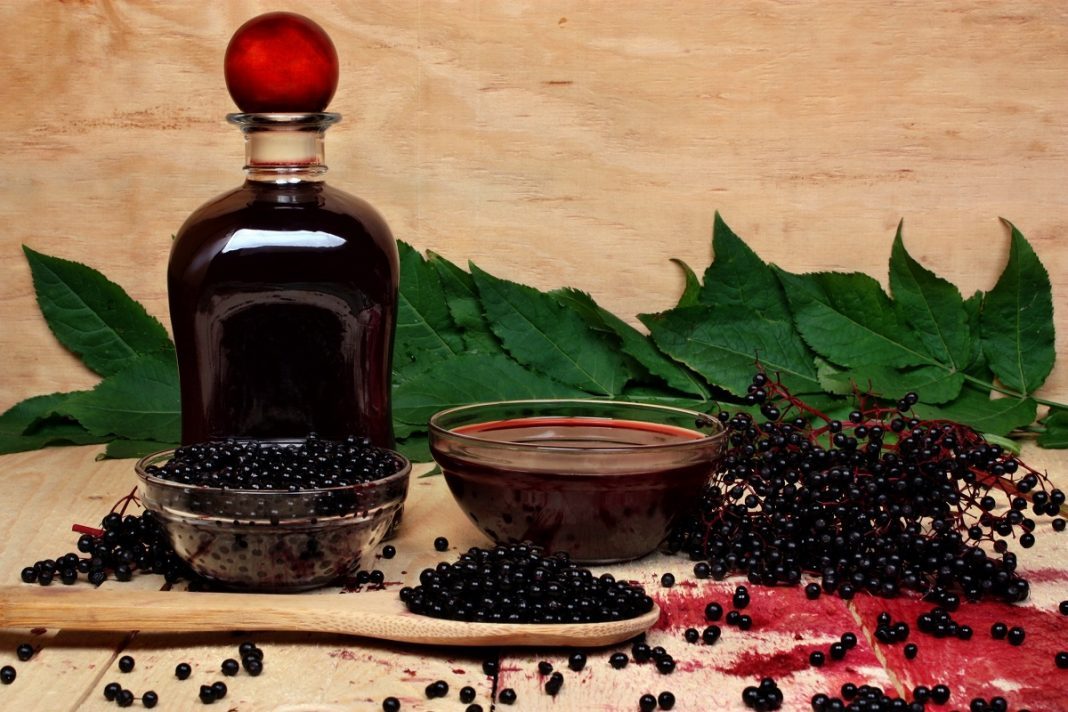 Pure Elderberry Juice: How to Prepare and its Uses - Herbal Hermit