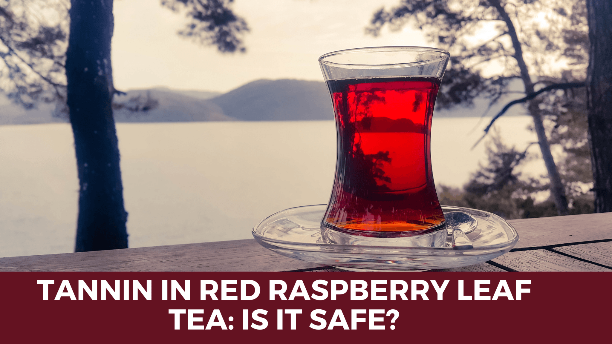 TANNIN IN RED RASPBERRY LEAF TEA: IS IT SAFE? - Herbal Hermit
