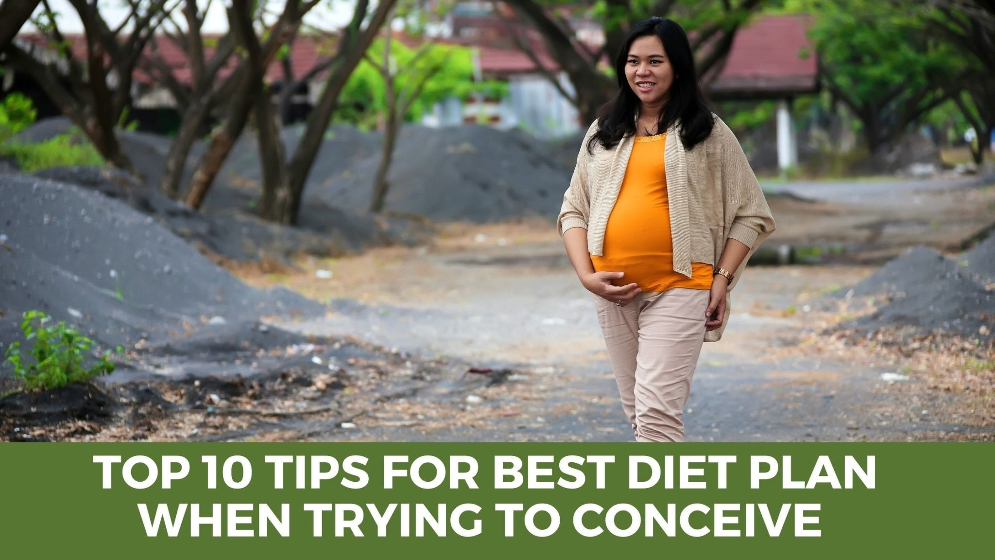 Top 10 Tips for Best Diet Plan When Trying to Conceive - HerbalHermit USA