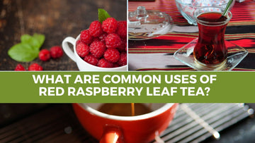 What are common uses of red raspberry leaf tea? - Herbal Hermit