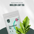 Mullein Leaf Gordolobo Tea  Herbal Hermit