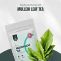Mullein Leaf Tea  Herbal Hermit